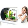 5 Gallon Fish Tank CB Star Arc-Shaped Glass Kit with LED Lights-2