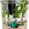 Tetra Bubbling LED Aquarium Kit 1 Gallon, Hexagon Shape, With Color-Changing Light Disc-3